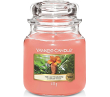 Yankee Candle The Last Paradise - medium paradise scented candle Classic medium glass 411 g