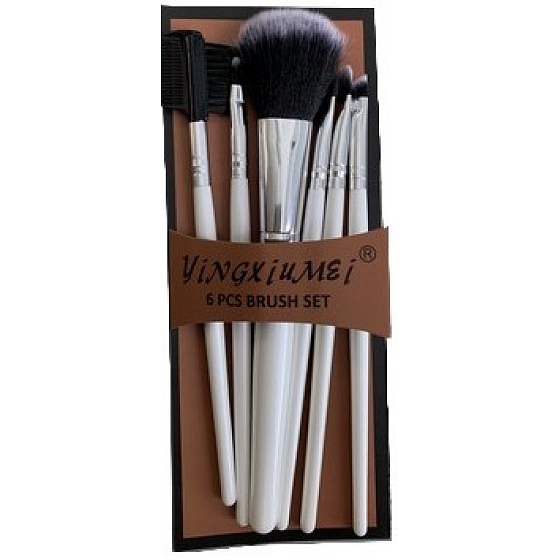 Set of 6 cosmetic brushes