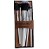 Set of 6 cosmetic brushes