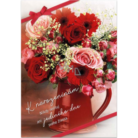 Ditipo Playing cards Happy Birthday Never regret a day hana Hegerová Cherry 224 x 157 mm