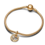 Charm Sterling silver 925 Gold plated Zodiac sign Sagittarius, bracelet pendant