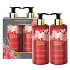 Baylis & Harding Boudoire Tropical Paradise - Tropical Paradise liquid hand soap 300 ml + moisturizing body and hand lotion 300 ml, cosmetic set for women