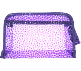 Etue Transparent cosmetic bag purple 25 x 16 x 6 cm 1 piece