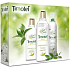 Timotei Purity Hair Shampoo 400 ml + Conditioner 200 ml + Dry Shampoo 245 ml, cosmetic set