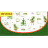 Nekupto Greeting card envelope money Christmas trees 116 x 220 mm
