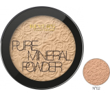 Revers Mineral Pure Compact Powder compact powder 02, 9 g