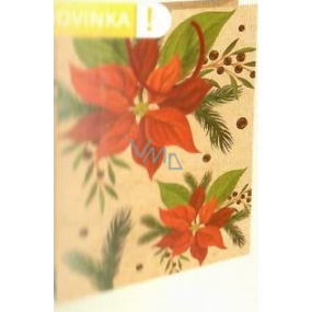Nekupto Gift kraft bag 28 x 37 cm Poinsettia 599 WKHL