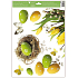 Window film without glue corner yellow tulips 42 x 30 cm