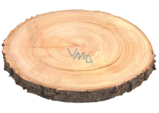 Sliced wooden sliced walnut 18 - 20 cm