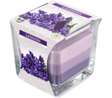 Bispol Lavender - Lavender tricolor scented glass candle, burning time 32 hours 170 g
