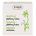 Ziaja Cucumber face cream 100 ml