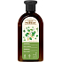Green Pharmacy anti-dandruff shampoo with birch and castor oil 350 ml