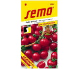 Semo Tomatoes baby cocktail tomatoes very early Bejbino F1 hybrid