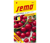 Semo Tomatoes baby cocktail tomatoes very early Bejbino F1 hybrid