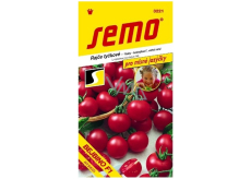 Semo Tomatoes baby cocktail tomatoes very early Bejbino F1 hybrid