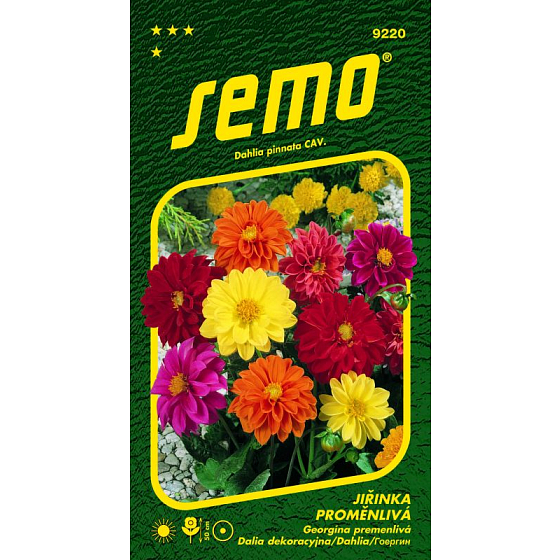 Semo Jiřinka variable compact mixture 1 g