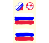 Sheet of Tattoo Stickers for Face and Body Russia Flag 1 Design