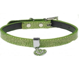 Tatrapet Lurex collar green decorated - heart 1,5 x 37 cm