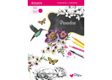 Ditipo Glittering coloring pages Paradise 8 sheets 21 x 30 cm