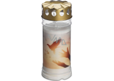Bolsius Candle with lid Dove 18,5 x 7,5 cm 120 hours 450 g