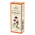 Sinner Echinacea drops to support the natural defenses 50 ml