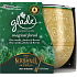 Glade Magical Forest - pine needles, amber and forest fruits scented candle in glass, burning time up to 30 hours 120 g