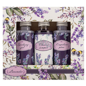 Bohemia Gifts Lavender shower gel 50 ml + shampoo 50 ml + foam 50 ml, cosmetic set