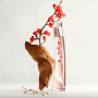 Kenzo Flower by Kenzo Ikebana eau de parfum for women 75 ml