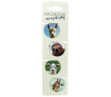 Albi Magnetic mini folders Photographed animals, diameter 3 cm 4 pieces