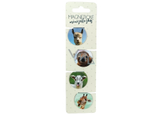 Albi Magnetic mini folders Photographed animals, diameter 3 cm 4 pieces