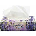 Big Soft Deluxe cosmetic wipes 2-layer 170 pieces