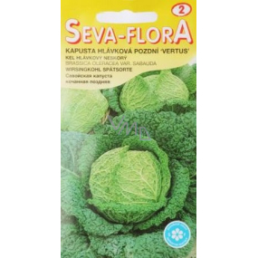 Seva - Flora Late head cabbage Vertus 0.8 g