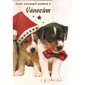 Nekupto Christmas Card 2 dogs