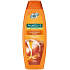 Palmolive Naturals Milk & Honey shampoo for dry hair 350 ml