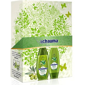 Schauma Nature Moments Mediterranean olive oil and Aloe Vera shampoo 250 ml + conditioner 200 ml, cosmetic set