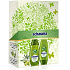 Schauma Nature Moments Mediterranean olive oil and Aloe Vera shampoo 250 ml + conditioner 200 ml, cosmetic set