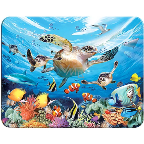 Prime3D magnet - Sea turtles 9 x 7 cm