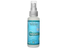 Saloos Natur Aroma Airspray Eucalyptus cold spray, facilitates coughing 50 ml