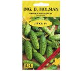 Holman F1 Jitka cucumbers 2,5 g