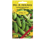 Holman F1 Jitka pickling cucumbers, coarsely spined, 2 g