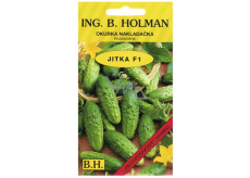 Holman F1 Jitka cucumbers 2,5 g