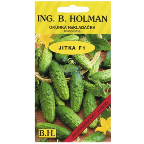 Holman F1 Jitka pickling cucumber seté hruboostné 2 g
