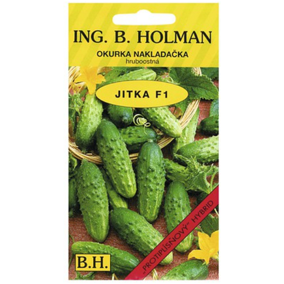 Holman F1 Jitka pickling cucumber seté hruboostné 2 g