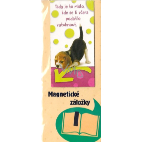 Albi Magnetic bookmark for the book Puppy Beagle 9 x 4.5 cm