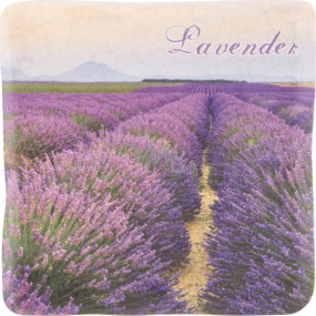 Bohemia Gifts Box with lavender decorative tile 10 x 10 cm