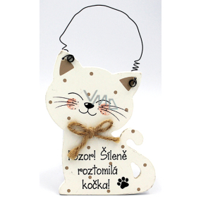 Nekupto Pets wooden sign Attention! Crazy cute cat 12 x 8,5 cm