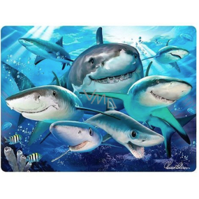 Prime3D postcard - Shark Selfie 16 x 12 cm