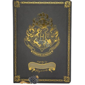 Epee Merch Harry Potter - Hogwarts Dorms A5 21 x 14,8 cm premium black