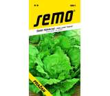 Semo Summer Lettuce, Field Iceberg Pražan 0.6 g