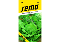 Semo Summer Lettuce, Field Iceberg Pražan 0.6 g
